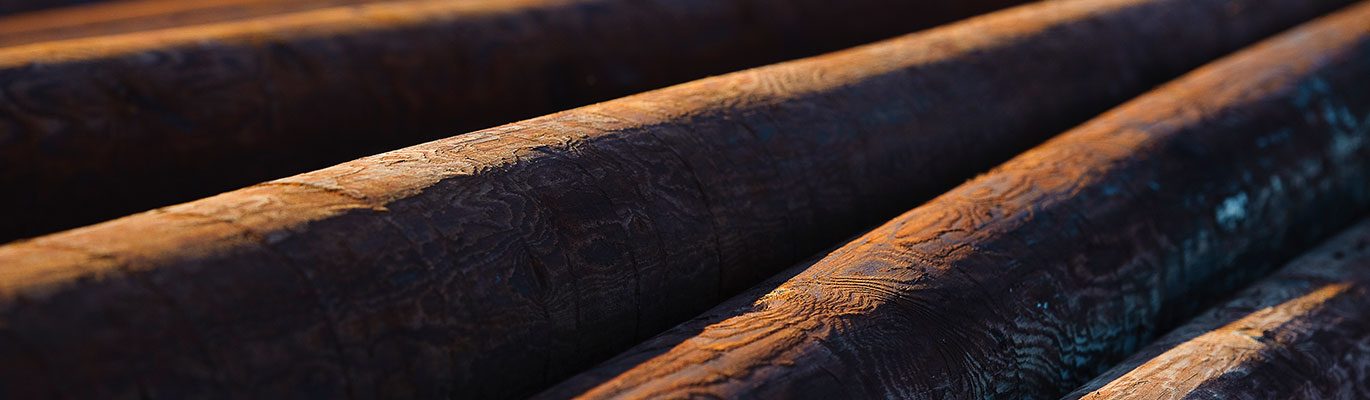 Pine logs at a Versowood sawmill